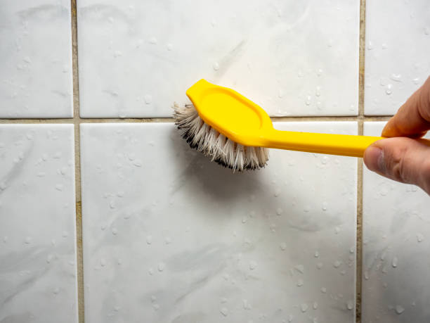 Best Certified Mold Removal  in Greenfield, WI