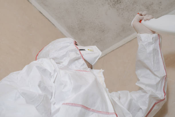 Best Mold Testing  in Greenfield, WI