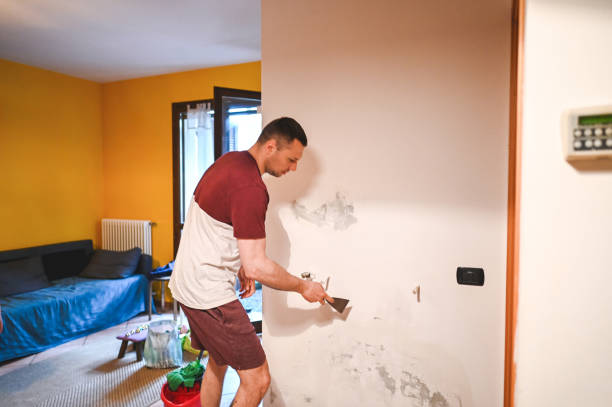 Best Mold Testing  in Greenfield, WI